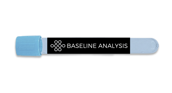 Baseline Analysis