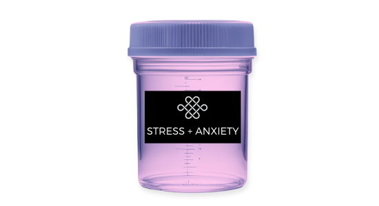 Stress + Anxiety
